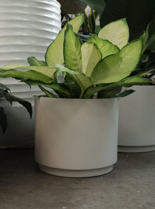 Messina Planter [sz:31cm X 27cm Cl:fog Grey]