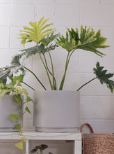 Load image into Gallery viewer, Messina Planter [sz:31cm X 27cm Cl:fog Grey]
